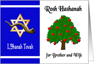 Rosh Hashanah for Brother and Wife - Apple Tree, Star of David card