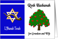 Rosh Hashanah for Grandson and Wife - Apple Tree, Star of David card