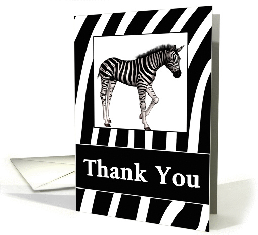 Blank Thank You Zebra Print and Zebra card (1146406)