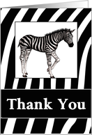 Blank Thank You Zebra Print and Zebra Card