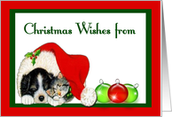 Christmas Wishes - Sleeping Puppy & Kitten, Santa Hat card