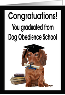 Congratulations Dog Obedience Graduation Card - Dog, Diploma & Books card