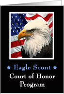 Eagle Scout Court of...