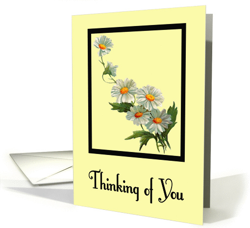 Thinking of You - Daisies card (1151336)