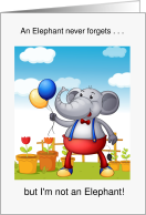 Humorous Belated Birthday Card - Elephant with Balloons card