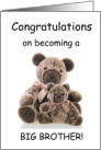 Congratulations Big Brother - Teddy Bears card
