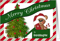 Christmas for Granddaughter, Baby bear, Christmas tree card