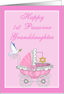 Grandddaughter 1st Passover - Baby Carriage, Star of David, Dove card