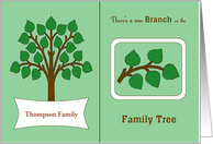 Custom Genealogy...