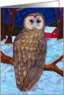 Christmas winter owl snow scene card