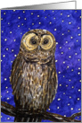 Christmas owl in a winter dusk scenery card