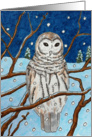 (in Swedish) Christmas owl in a winter nature wildlife scenery card