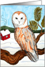 (in Swedish) Christmas owl in a winter nature wildlife scenery card