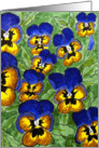 Illustrative drawing of Birthday Pansies and Floral card