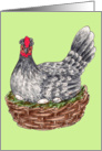 Illustrative Easter hen brooding eggs in a basket card