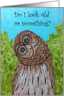 Funny and whimsical owl birthday card