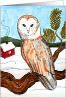 Christmas owl with a winter scenery card