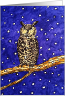 Christmas owl in a winter scenery card