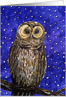 Christmas owl in a winter dusk scenery card