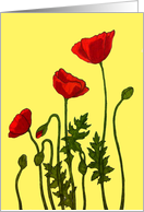 Birthday with Beautiful Red Poppies on Yellow card