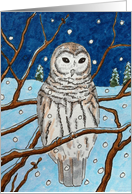 (in Swedish) Christmas owl in a winter nature wildlife scenery card