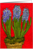 (in Swedish) Christmas blue hyacint floral card