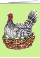 Illustrative Easter hen brooding eggs in a basket card