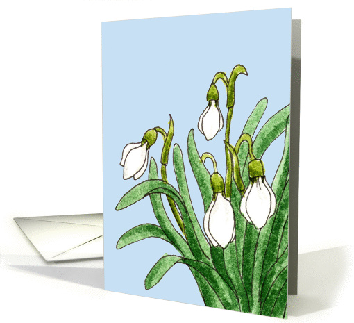 Snowdrop flower sympathy card (1086654)