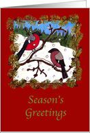 Whimsical hand drawn bullfinch christmas card