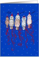 Hand drawn owls with hats and red ribbons Christmas card