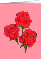 Hand drawn red roses for Valentine’s Day card