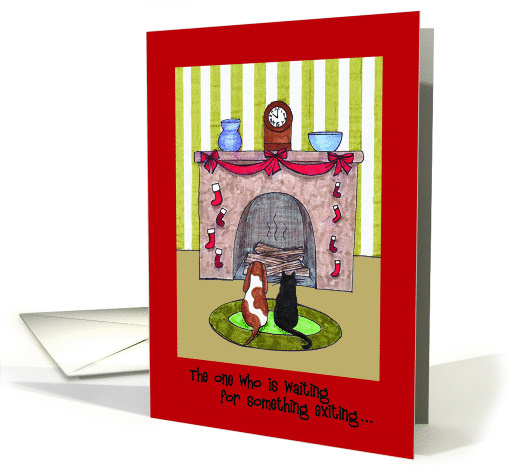 Cat and dog waiting for gifts in stockings Christmas card (1256426)