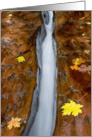 Autumn At The Chute In Zion National Park, Blank Note Card