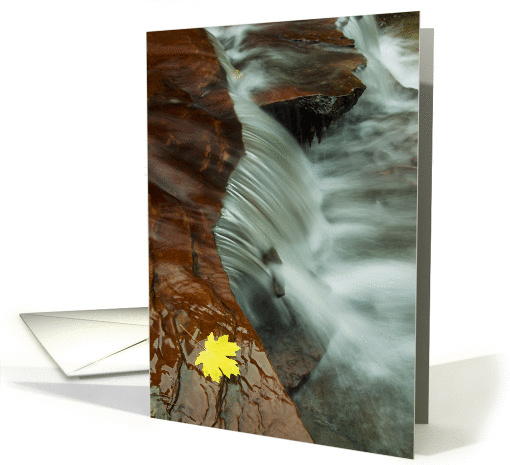 Waterfall & Autumn Maple Leaf, Blank Note card (1060167)