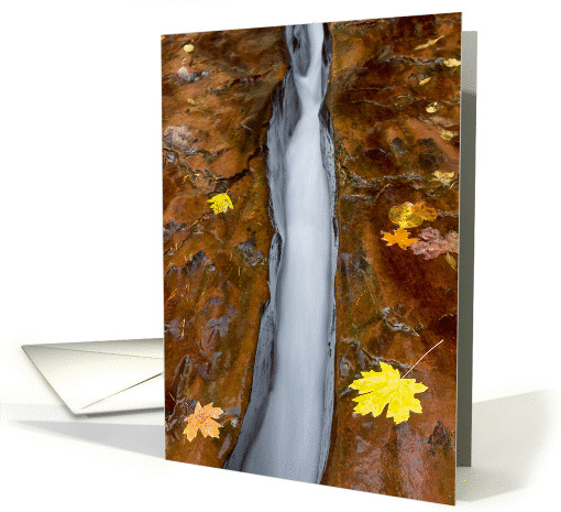 Autumn At The Chute In Zion National Park, Blank Note card (1060187)