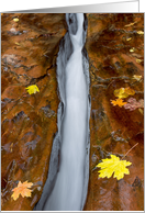 Autumn At The Chute In Zion National Park, Blank Note Card