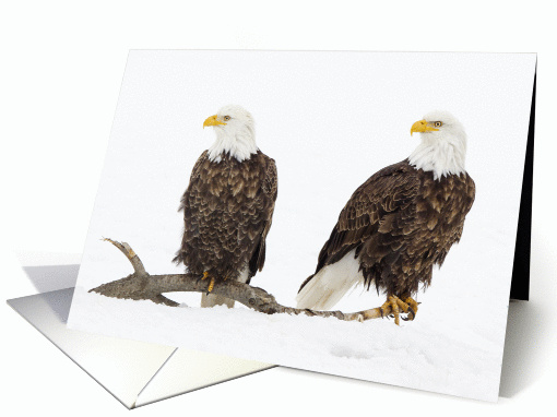 Bald Eagles On Log In Snow, Blank Note card (1060227)
