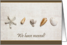 We’ve Moved Seashells on textured background card