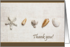 Seashells on textured background thank you card