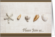 Seashells on textured background - please join us card