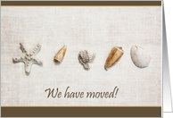 We’ve Moved Seashells on textured background card