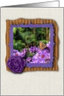 Monarch butterfly on purple daisy flowers garden - any occasion card