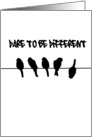 Dare to be different - funny birds on a wire card