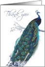 Beautiful Blue Vintage Peacock - Thank you card