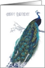 Beautiful Vintage Peacock - Happy Birthday card