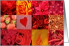 Red photography squares collage - any occasion blank note card