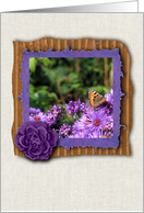Monarch butterfly on purple daisy flowers garden - any occasion card