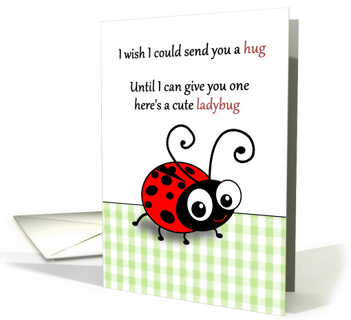 Cute ladybug instead of a hug - Thinking of you across the miles card