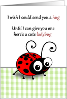 Cute ladybug instead of a hug - Thinking of you across the miles card