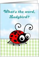 What’s the word ladybird? Cute ladybug just saying hello card